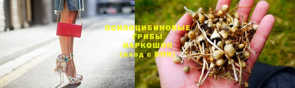 твердый Лагань