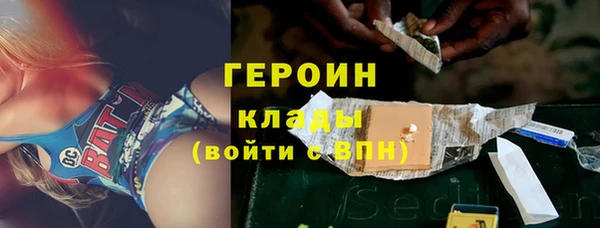 твердый Лагань