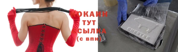 тгк Ладушкин
