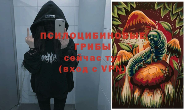 стаф Лабытнанги