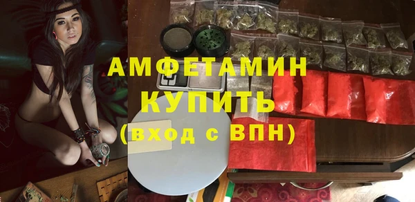 твердый Лагань